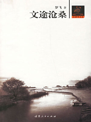cover image of 文途沧桑